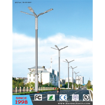 for Asian Market Outdoor LED Street Light (DL0011)